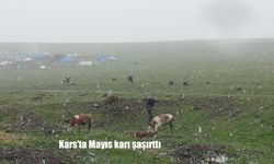 Kars’ta Mayıs Karı Hayatı Felç Etti: Yüksek Rakımlar Adeta Kışa Döndü