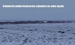 Merada Otlatılan Hayvanlar Kar Yağışıyla Karşı Karşıya Kaldı