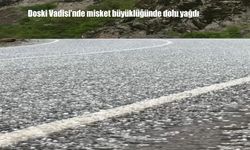 Yüksekova Doski Vadisi’nde Beklenmedik Misket Büyüklüğünde Dolu Yağışı