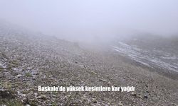Van Başkale’de Mevsim Normallerinin Altında Seyreden Hava ve Kar Yağışı Etkili Oldu