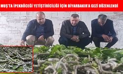 Muşlu çiftçiler ipekböceği üretimini yerinde inceledi