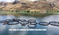 Doğu Anadolu’da Karların Erimesi ve Yağışlar Barajlara Hayat Verdi
