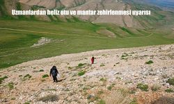 Van’da Baharın Gelişiyle Heliz Otu ve Mantar Toplama Geleneği