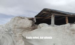 Ardahan-Artvin Sınırındaki Bülbülan Yaylası Mayıs Sonunda Karla Kaplı