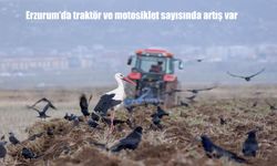 Türkiye Trafiğine Nisan Ayında Yeni Araç Kayıtları: Erzurum’da Durum Ne?