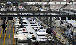 Yurt Dışı Üretici Fiyat Endeksi yıllık yüzde 22,92 arttı