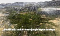 Yüksekova'nın Saklı Cenneti: Doski Vadisi’nde Doğa ve Sessizlik İç İçe