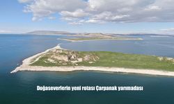 Çarpanak Yarımadası, Badem Ağaçlarıyla Baharın En Güzel Yüzünü Sunuyor