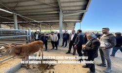 Patnos’ta Kurban Bayramı Öncesi Sıkı Hazırlık: Canlı Hayvan Borsası ve Et Entegre Tesisi Denetimden Geçti