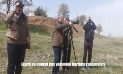 Göçmen kuşların rotası Elazığ’da yeniden haritalanıyor