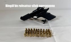 Bingöl’de Ruhsatsız Silah Operasyonu: Jandarmadan Peş Peşe Baskınlar!