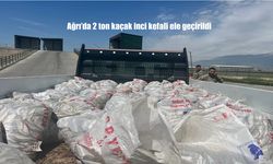 Ağrı’da 2 Ton Kaçak İnci Kefali Yakalandı: Kaçak Avcılığa Göz Açtırılmıyor