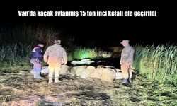 Van’da İnci Kefali Kaçak Avcılığına Karşı Sıkı Denetimler