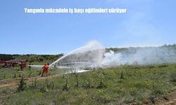 Elazığ Orman Bölge Müdürlüğü, Yangınla Mücadelede Hazırlıklarını Sürdürüyor: İş Başı Eğitimleri Devam Ediyor