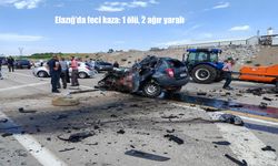 Elazığ-Bingöl Karayolunda Feci Kaza: 1 Kişi Hayatını Kaybetti, 2 Kişi Ağır Yaralı
