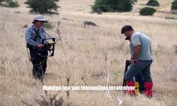Malatya Fayı Son Teknolojiyle İnceleniyor: Bilimsel Çalışmalar Devam Ediyor