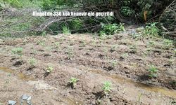 Bingöl Jandarma Ekiplerinin Uyuşturucuya Karşı Kararlı Mücadelesi