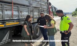 Kurban Bayramı Öncesi Tercan’da Sevkiyat Denetimleri Yoğunlaştı