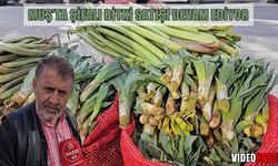 Muş’ta şifalı otlar tezgahlardaki yerini koruyor