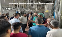 Malatya’da Kurban Bayramı Öncesi Sertifikalı Kurban Kesim Elemanı Eğitimi Başladı