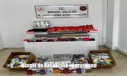 Bingöl’de Kaçakçılık Operasyonu: 648 Paket Kaçak Sigara ve 14 Bin 50 Filtre Ele Geçirildi