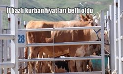 2025 kurbanlık fiyatları açıklandı: İl il büyükbaş ve küçükbaş bedelleri