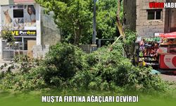 Muş'ta şiddetli fırtına: Ağaçlar devrildi, yollar kapandı