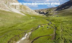 Sohmarik Yaylası, 2500 Rakımda Doğaseverlerin Yeni Gözdesi Oldu