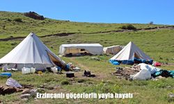 Binlerce Yıllık Gelenek: Göçerlik Kültürü Erzincan Yaylalarında Yaşatılıyor