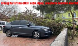 Elazığ’da Fırtına Nedeniyle Ağaç Devrildi: Park Halindeki Araçlara Zarar Verdi