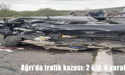 Ağrı Taşlıçay’da Feci Kaza: Otomobil Minibüse Çarptı, 2 Ölü 8 Yaralı