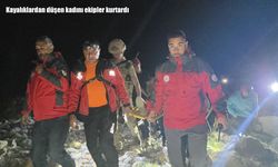 Tunceli’de kayalıklardan düşen kadın 4 saatlik operasyonla kurtarıldı