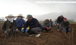 Erzincan’dan bölgeye can suyu: Meyve fidanlarıyla tarıma güç katıyor