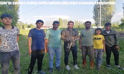 Iğdır’da yardıma muhtaç tilki doğal yaşam alanına salındı