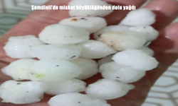 Şemdinli’de Misket Gibi Dolu Yağdı! Sürücüler ve Yayalar Zor Anlar Yaşadı