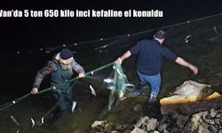 Van Gölü’nde Kaçak Avcılığa Geçit Yok: 5 Ton 650 Kilo İnci Kefaline El Konuldu