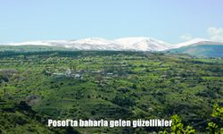 Doğu’nun Saklı Cenneti Posof’ta Baharın Büyüleyici Dönüşümü Başladı