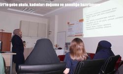 Siirt’te Gebe Okulu ile Kadınlar Sağlıklı Doğuma Hazırlanıyor