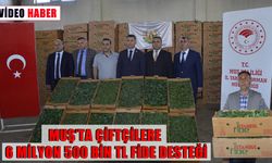 Muş’ta çiftçilere 650 bin adet fide dağıtımı