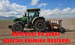 Adilcevaz’da çiftçiler şeker pancarı için tarlalara indi