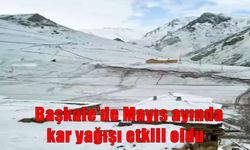 Van’ın Başkale ilçesinde Mayıs ortasında kar sürprizi!