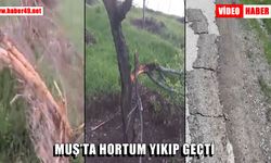 Varto’da hortum felaketi: “Böyle bir şeyi daha önce hiç görmedik”