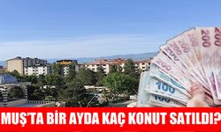 Muş’ta konut satış rakamları açıklandı