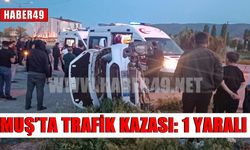 Hasköy’de köpeğe çarpmamak için manevra yapan araç şarampole yuvarlandı