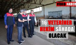 Muş Tarım Müdürü Gönç uyardı: Kurbanlık seçimde nelere dikkat edilmeli, kesimler nerede yapılmalı?