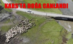 Kars'ta baharın gelişiyle meralar hayvan sesleriyle canlandı
