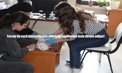 Tercan’da evcil hayvanlar için mikroçip uygulaması hızla devam ediyor!