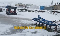 Erzurum'un Aşkale İlçesinde Mayıs Ayında Kar Şoku