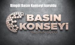 Deneyimli Gazetecilerden Güçlü Bir Adım: Bingöl Basın Konseyi Hayata Geçti