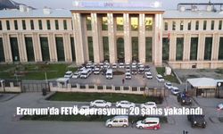 Erzurum Merkezli FETÖ Operasyonunda 20 Şüpheli Yakalandı: 10 Kişi Tutuklandı